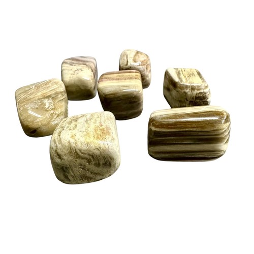 Legno fossile pietra vera - pietra,
