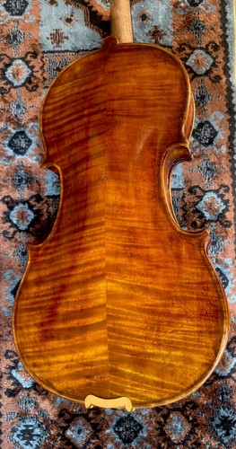 Bellissimo violino - violino,,