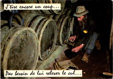 (535) 23-2-2025 / France  -