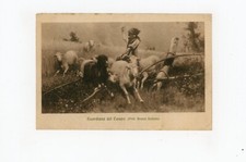 Cartolina - Stefano Bruzzi - Guardiana del campo -CD868