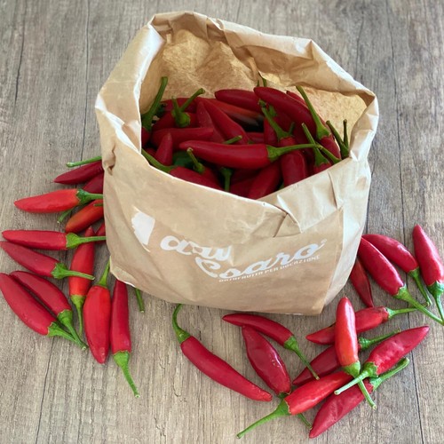 Peperoncino piccante fresco