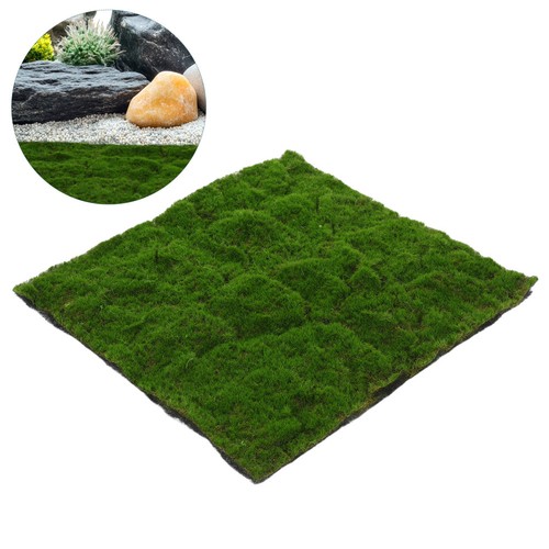 Erboso muschio verde - muschio,