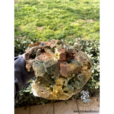 Tana per geco Leopardino, tana