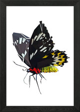 Poster arte da parete con