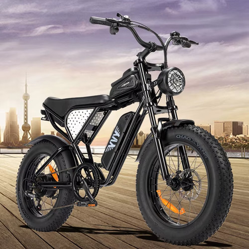 Yvy c20 lite 48v 15ah - c20, 20"x