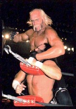 WCW NWO 1999 Panini Hollywood