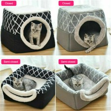 Nuovo animale domestico gatto