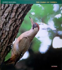 LIBRO THE PARKS OF I PARCHI