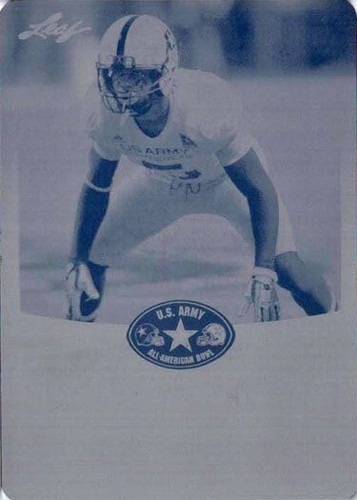 2013 tahaan goodman leaf - tahaan,