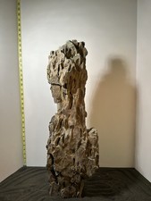 Pietra drago Ohko 31,1 libbre