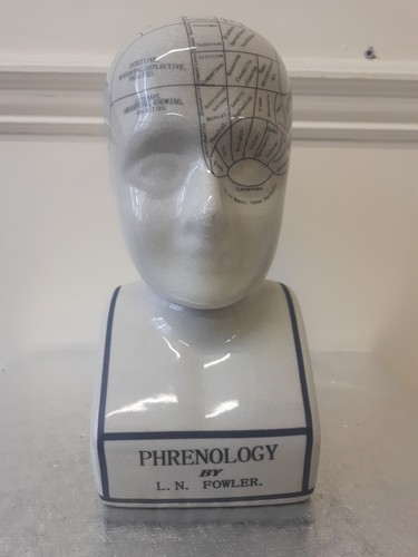 Testa frenologica n - frenologica, di