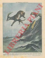 PISANI Vittorio - Capriolo