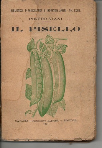 Viani pisello f - viani,