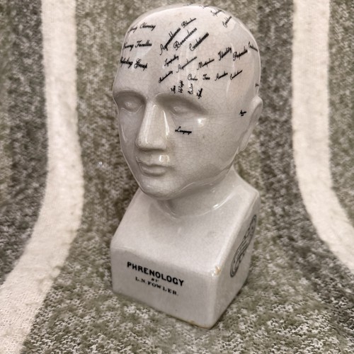 Vintage ceramic phrenology - vintage,