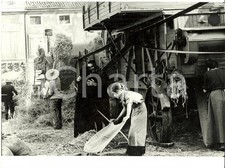 1976 NOVECENTO Gerard DEPARDIEU Bernardo BERTOLUCCI *Foto di scena