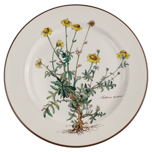 Piatto portata villeroy - villeroy, &