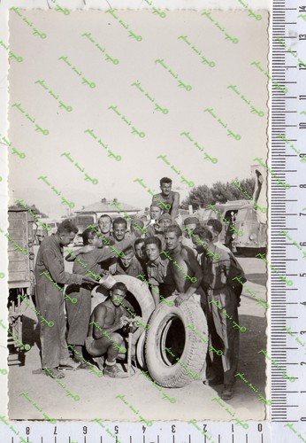 D117 ii foto bancani - ww,