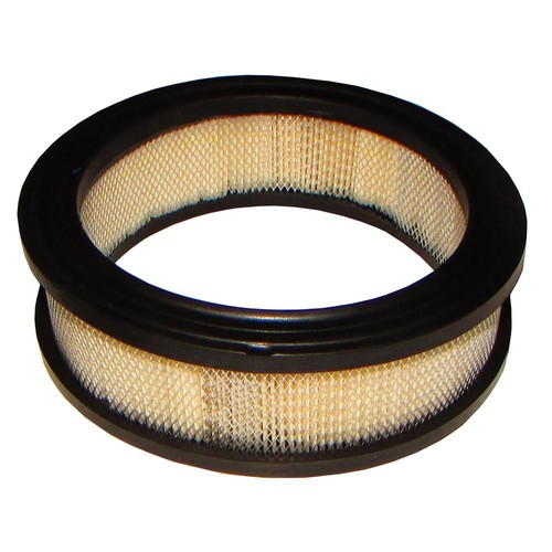 Filtro aria am31400 235116 - filtro,