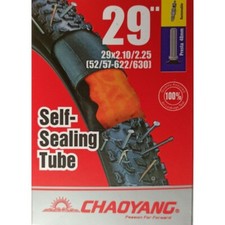  ChaoYang Camera D'aria MTB