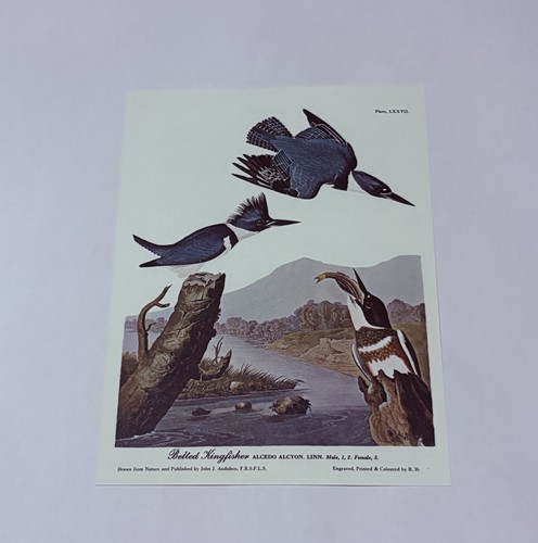 Stampa artistica litografica
