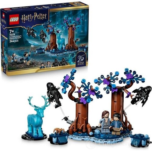 Lego harry potter 76475 - harry,