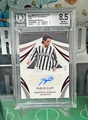 2021 panini immacolata - 2021,