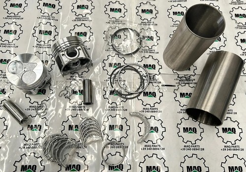 Z482 kit revisione motore - revisione,