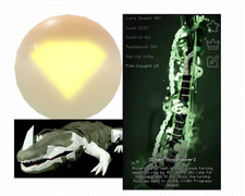 -FISCH- Canna da muschio anziano (perla di mare dorata avvolta e muschio anziano)