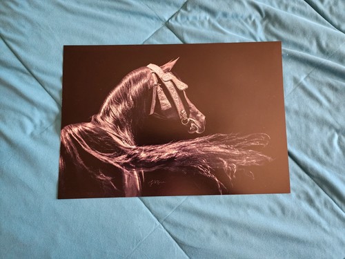 Stampa fotografica cavallo - stampa, di
