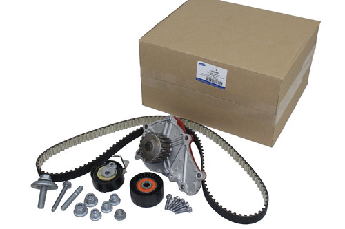 Kit cinghia distribuzione - cinghia,