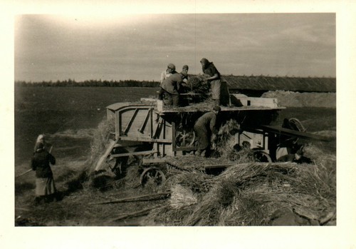 Foto seconda guerra - seconda,