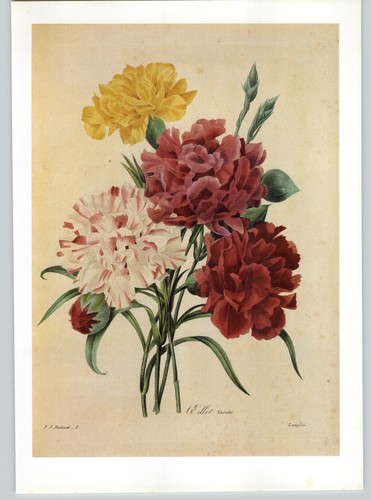 Piatto libro arte fiori - p., j