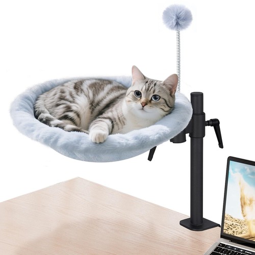 Letto per gatti - gatti, scrivania