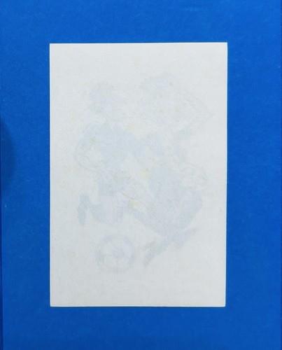 Figurina calciatori panini - figurina,