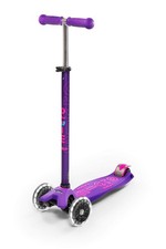 Deluxe LED Maxi Bundle