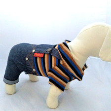 Abbigliamento tuta per cane