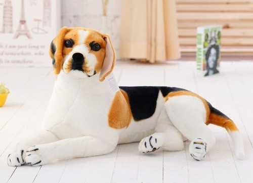Nuovo beagle cane pollici - cane,