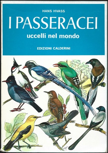 Hvass passeracei uccelli - hvass,