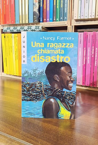 Una ragazza chiamata - , disastro