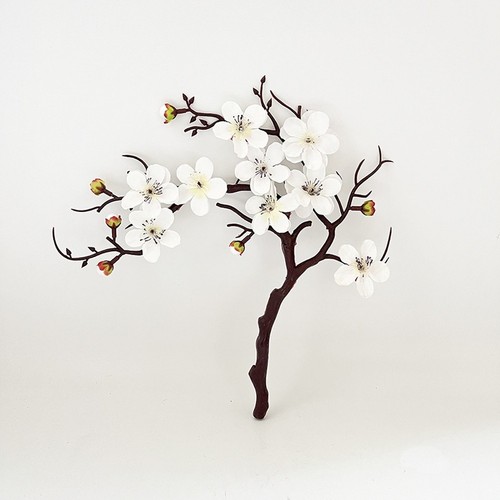 Bonsai fiori prugna - bonsai, di