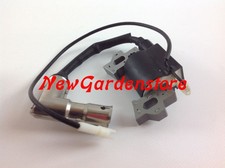 Bobina motore trattorino