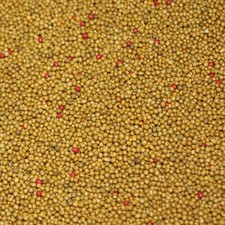 Concime Coltivazione Lunga