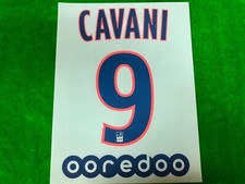 OFFICIAL PARIS SAINT GERMAIN