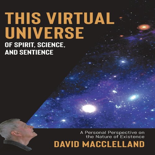 This virtual universe - this,