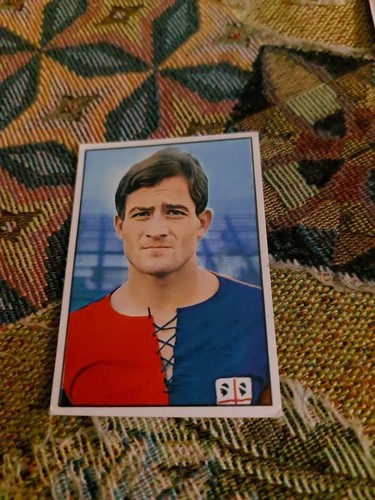 Figurina panini calciatori - figurina,