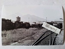 Fotografia Locomotive a vapore e Locomotore Diesel FS D345 13 Maggio 1979 