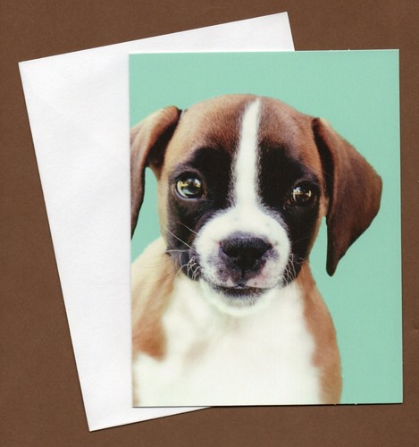 Boxer puppy dog notecard set - puppy,