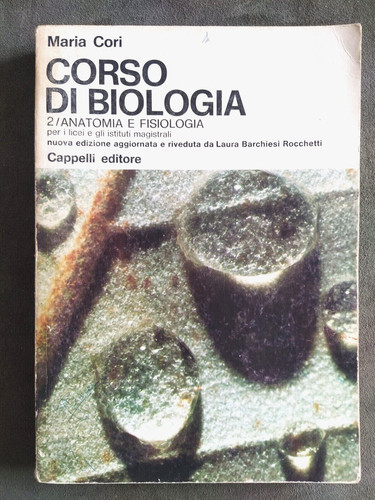 Maria cori corso - cori-corso, di