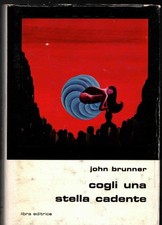 Cogli una stella cadente