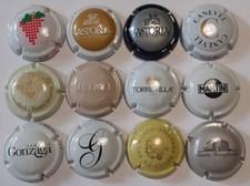 LOTTO DI n°12 CAPSULE SPUMANTE ITALIANE TUTTE DIVERSE come da foto allegata 01
